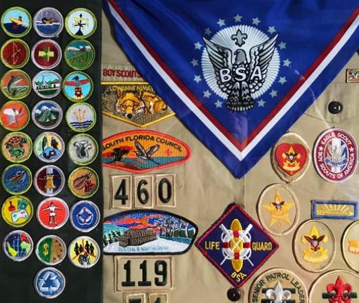 <strong>The Function Of Scout Patches</strong>